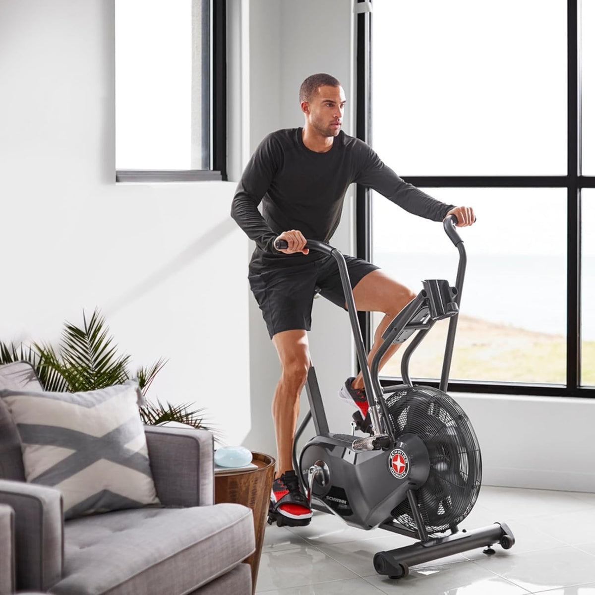 Schwinn Airdyne AD6 Exercise Bike